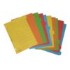 Bantex Cardboard Divider A4 10 Pages 6050 | Pembatas Binder Bantex A4 - Gambar 2