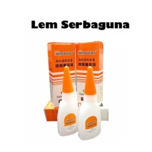 Amanda Lem Korea Multifungsi